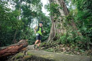 BIB: 
                            <button type="button" onclick="openModal(24809429)" class="btn btn-primary btn-sm float-right btn-popup" data-toggle="modal" data-target=".modal-high-quality">
                        <i class="fas fa-shopping-cart"></i> Add to Cart
                    </button>
                                            <button type="button" onclick="isThisMe(24809429, true)" class="btn btn-success btn-sm float-right btn-popup btn-isme hidden" data-toggle="tooltip" data-placement="bottom" title="นี่คือรูปของคุณใช่ไหม คลิกที่นี่เพื่อเอาเข้าอัลบั้ม">
                        <i class="fas fa-plus"></i> Add to album
                    </button>
                    <button type="button" onclick="isThisMe(24809429, false)" class="btn btn-warning btn-sm float-right btn-popup btn-isnotme hidden">
                        <i class="fas fa-ban"></i> Remove from album
                    </button>